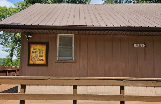 0a56864b 2717 4ef1 a22e 62e9198de0ef.jpeg