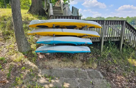 227716e6 124c 4635 9ad7 3c9f03d5be0b