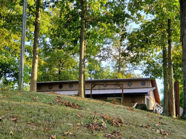 35ad0c81 5b59 418d bc15 414123033f86.jpg