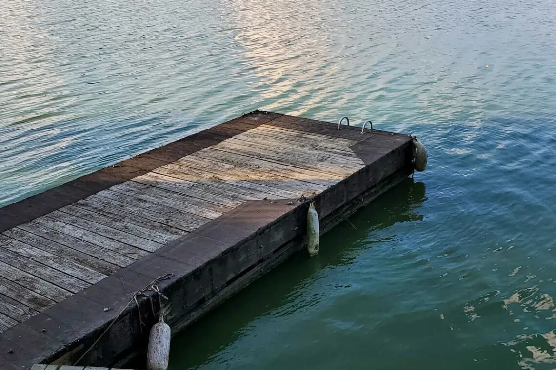 45146142 2ff9 4ecc 904e 35024a2e2220.jpg