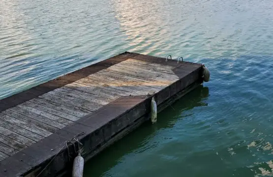 45146142 2ff9 4ecc 904e 35024a2e2220.jpg