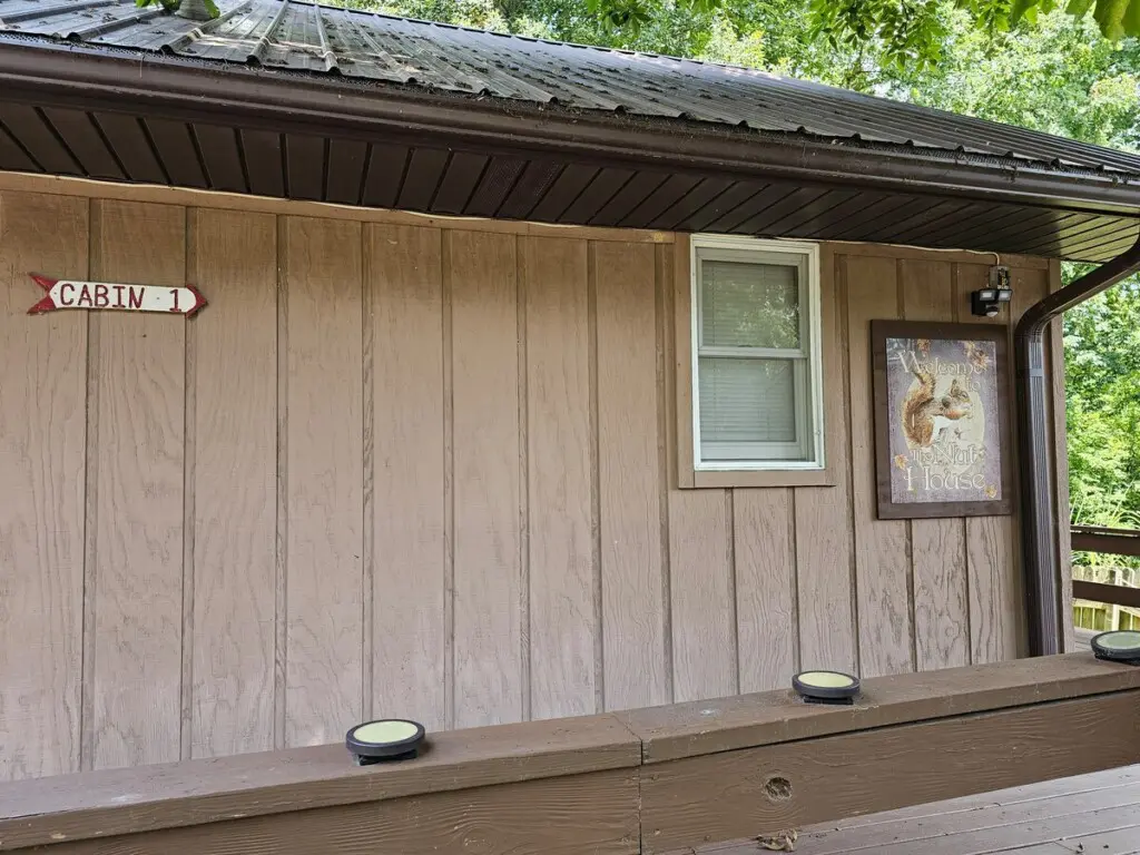 54a536e1 4407 4f71 bfd9 f427e4352cc6.jpeg