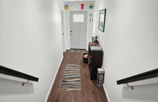 5e4a388d 0020 4618 841e 691cc70cf349.jpeg