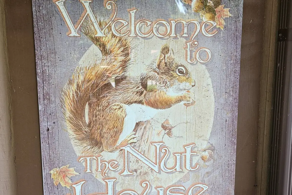 7e3a78f2 7f18 40fd a8ab 2ace9a93c522