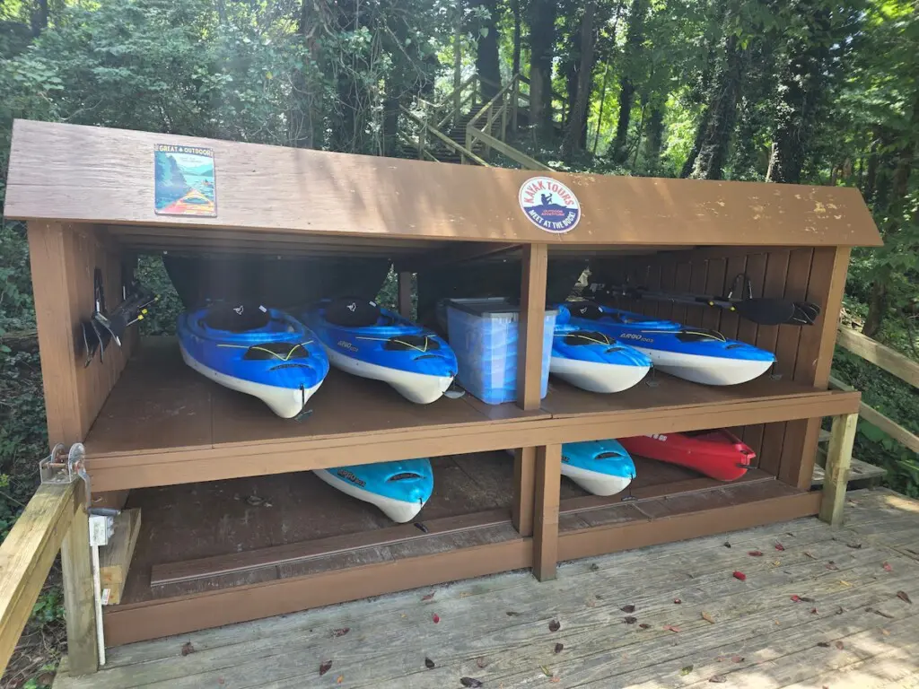 80e1ce1e ff92 4885 af32 f318237b68e1.jpeg