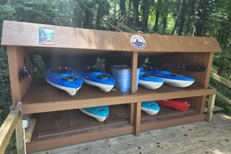 80e1ce1e ff92 4885 af32 f318237b68e1.jpeg