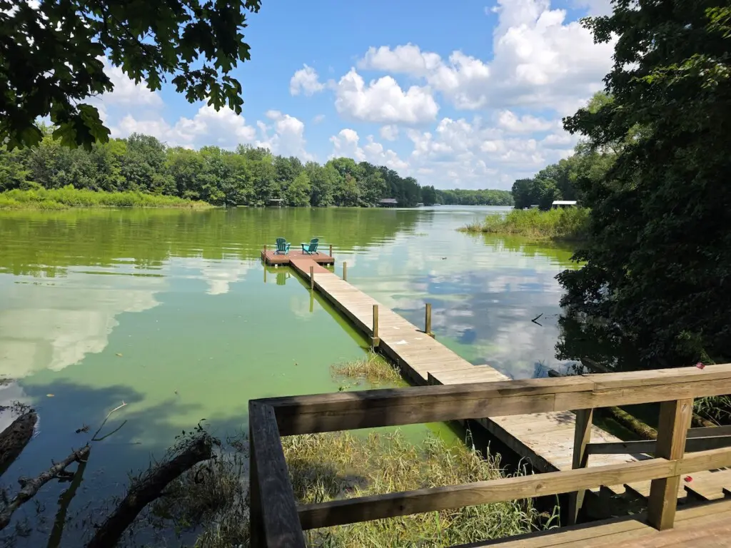 909225bb 2434 4146 85e7 c3ceead8adf0.jpeg