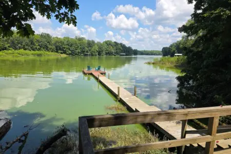 909225bb 2434 4146 85e7 c3ceead8adf0.jpeg