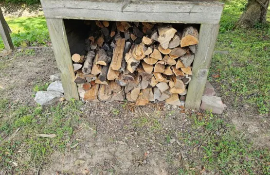 99b744a4 37a8 4bd8 89f8 f87b0a9debe8.jpeg