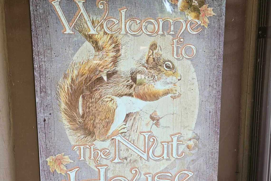 aed65c9b ccc9 41db 8e80 503182fe02ff.jpeg