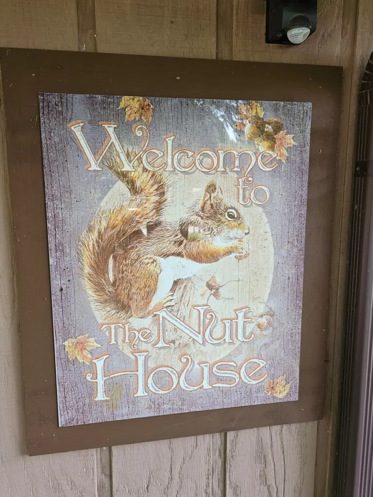 aed65c9b ccc9 41db 8e80 503182fe02ff.jpeg