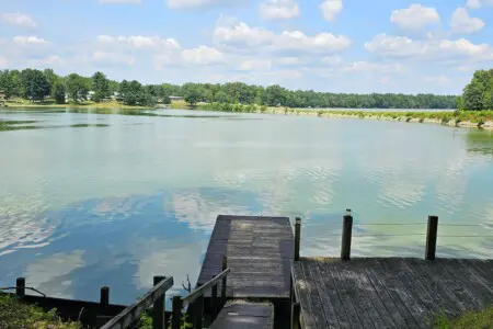 bc4b3a09 9dd4 46a7 9218 4d9bb5cd99a2.jpeg