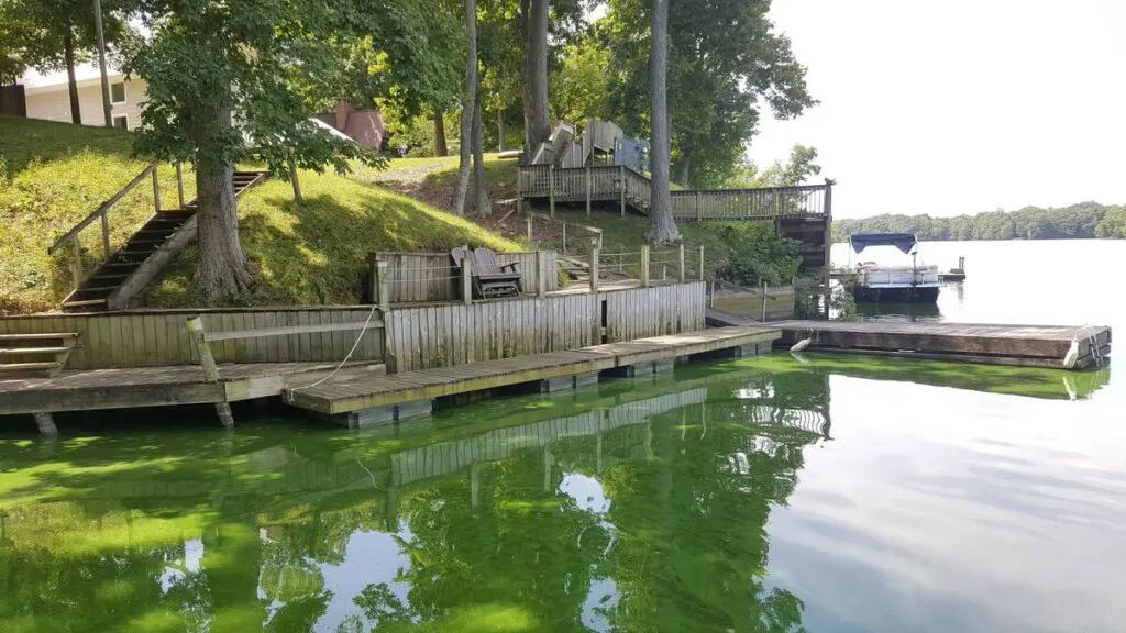 c10b59b9 fabf 4989 981b a9268a81b613