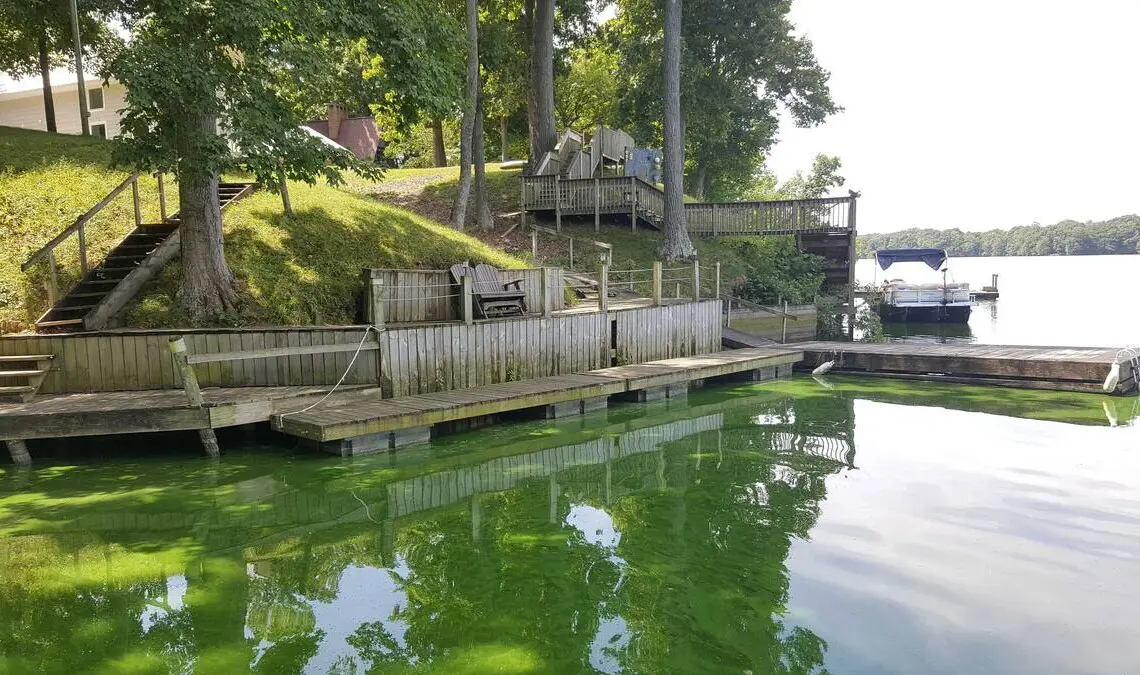 c10b59b9 fabf 4989 981b a9268a81b613